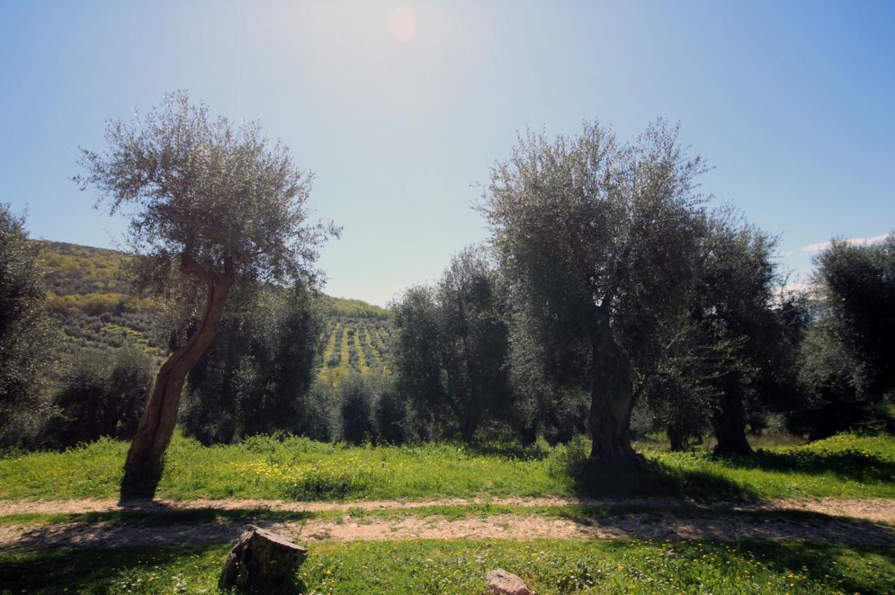 Masseria Procacci Искителла Экстерьер фото